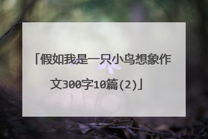 假如我是一只小鸟想象作文300字10篇(2)