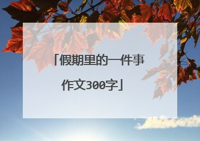假期里的一件事作文300字