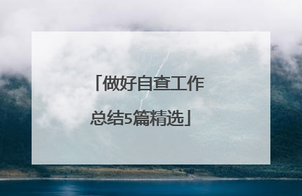 做好自查工作总结5篇精选