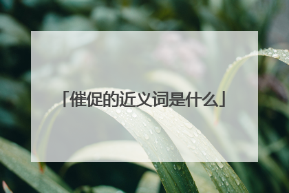 催促的近义词是什么