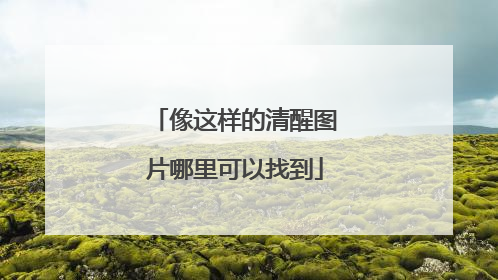 像这样的清醒图片哪里可以找到