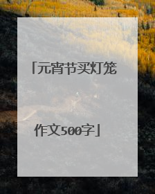 元宵节买灯笼作文500字