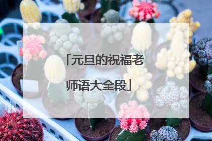 元旦的祝福老师语大全段