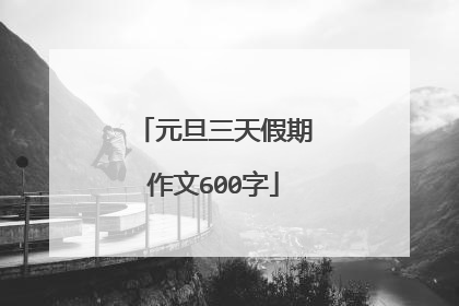 元旦三天假期作文600字