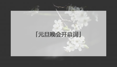 元旦晚会开幕词