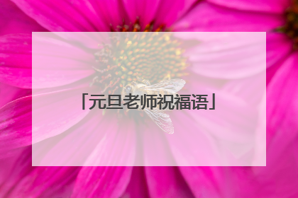 元旦老师祝福语