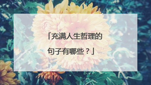 充满人生哲理的句子有哪些？