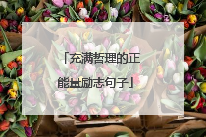 充满哲理的正能量励志句子