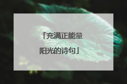 充满正能量阳光的诗句