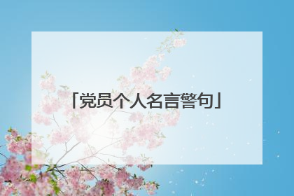 党员个人名言警句