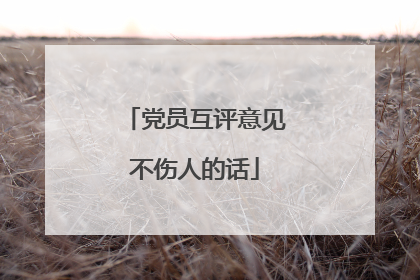党员互评意见不伤人的话