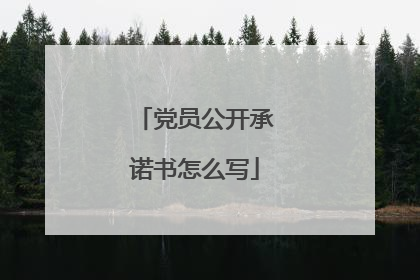 党员公开承诺书怎么写
