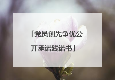 党员创先争优公开承诺践诺书