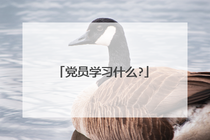 党员学习什么?