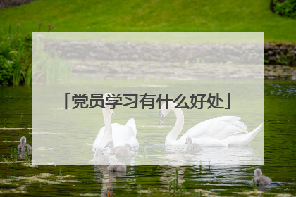 党员学习有什么好处