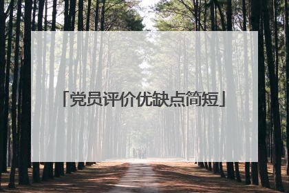 党员评价优缺点简短
