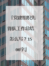 党建组织先锋队工作总结怎么写？1500字
