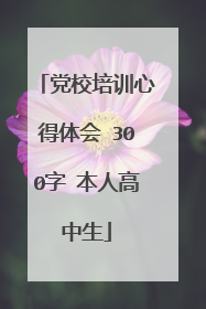 党校培训心得体会 300字 本人高中生