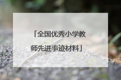 全国优秀小学教师先进事迹材料