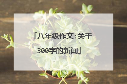 八年级作文:关于300字的新闻