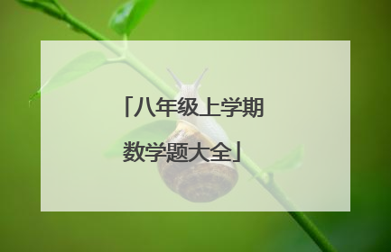 八年级上学期数学题大全