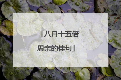 八月十五倍思亲的佳句