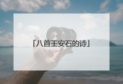 八首王安石的诗