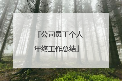 公司员工个人年终工作总结