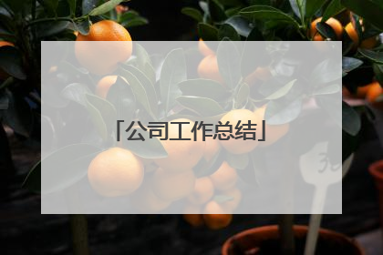 公司工作总结
