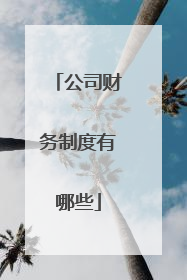 公司财务制度有哪些