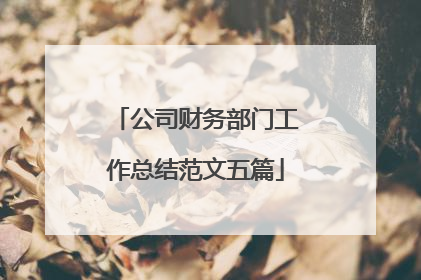 公司财务部门工作总结范文五篇