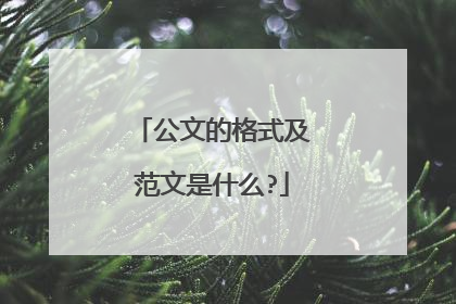 公文的格式及范文是什么?