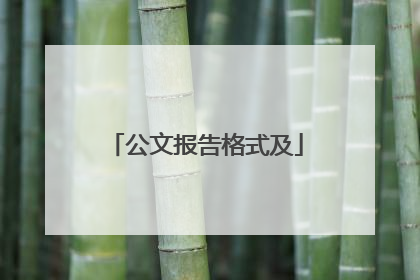 公文报告格式及