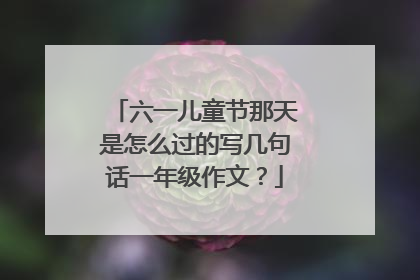 六一儿童节那天是怎么过的写几句话一年级作文?