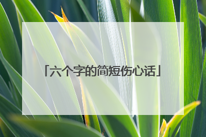 六个字的简短伤心话