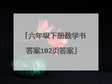 六年级下册数学书答案102页答案