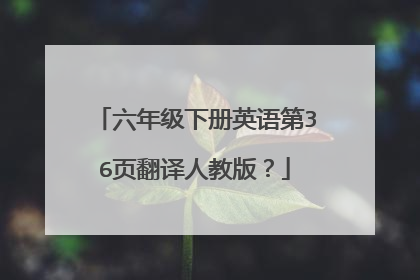 六年级下册英语第36页翻译人教版？