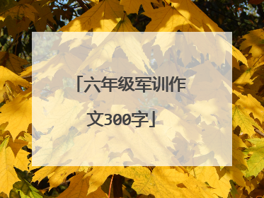 六年级军训作文300字