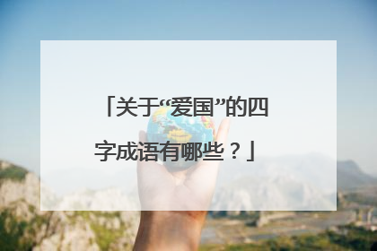 关于“爱国”的四字成语有哪些？