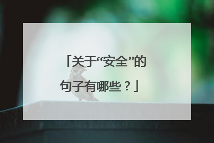 关于“安全”的句子有哪些？