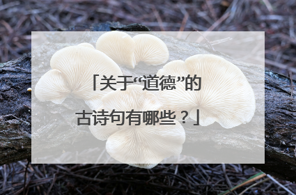 关于“道德”的古诗句有哪些?