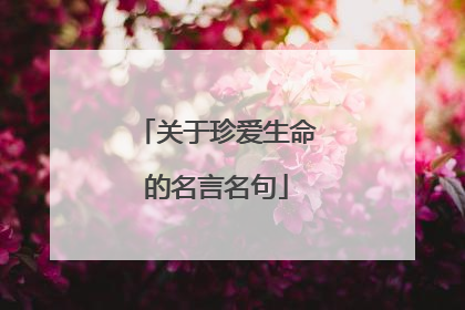 关于珍爱生命的名言名句