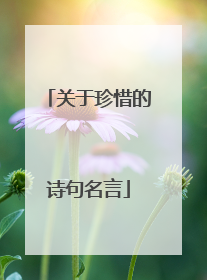 关于珍惜的诗句名言