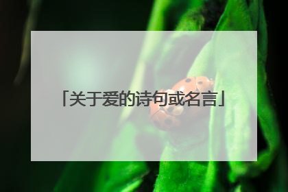 关于爱的诗句或名言