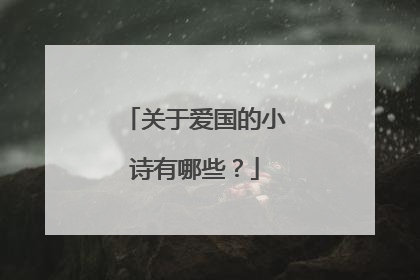 关于爱国的小诗有哪些?