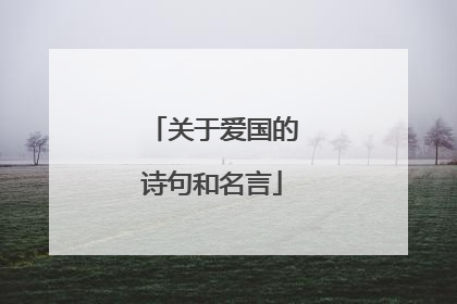 关于爱国的诗句和名言