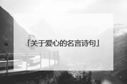 关于爱心的名言诗句
