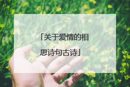 关于爱情的相思诗句古诗