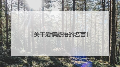 关于爱情感悟的名言