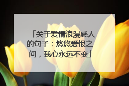 关于爱情浪漫感人的句子：悠悠爱恨之间，我心永远不变